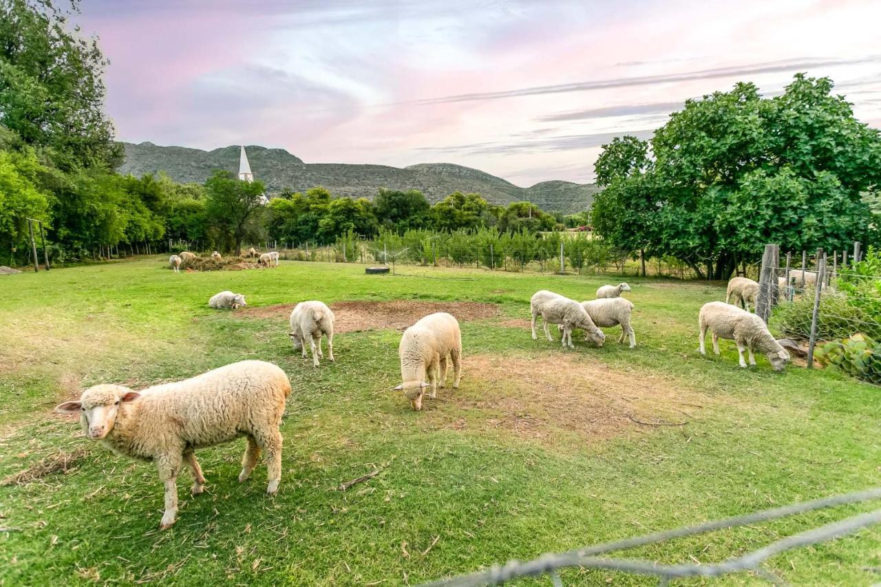 Die Fonteine Country Guesthouse And Glamping Oudtshoorn Exterior photo